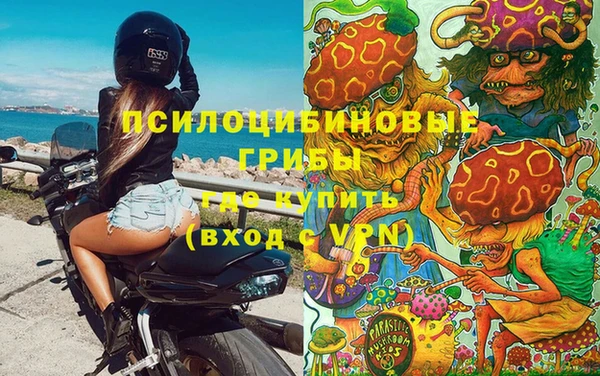 тгк Вяземский