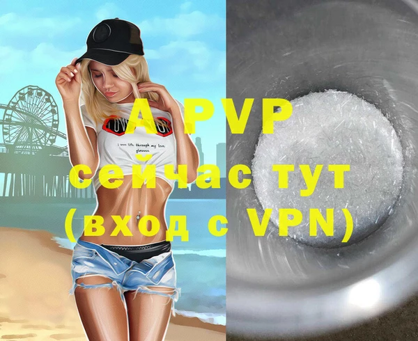 тгк Вяземский