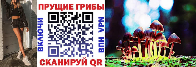mega ССЫЛКА  Ессентуки  Галлюциногенные грибы мицелий 